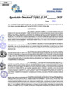 Vista preliminar de documento Resolucion Directoral N° 002459-2025