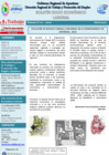 Vista preliminar de documento Boletin N°01-2024_Apurimac