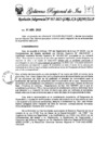 Vista preliminar de documento rsg-017-2025-gore-ica-grinf-sslp