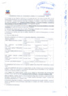 Vista preliminar de documento I AUDIENCIA PUBLICA ORDINARIA CONSULTA CIUDADANA - 2025