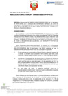 Vista preliminar de documento RD Nº D000026-2025-DE