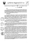 Vista preliminar de documento rer-103-2025-gore-ica-gr