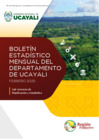 Vista preliminar de documento BOLETÍN febrero 2025