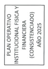 Vista preliminar de documento PLAN OPERATIVO INSTITUCIONAL FISICA Y FINANCIERA (CONSISTENCIADO) AÑO 2025