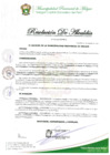 Vista preliminar de documento RESOLUCION DE ALCALDIA Nº 163-2025