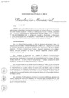 Vista preliminar de documento RM N° 079-2025-MINEM-DM