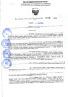 Vista preliminar de documento 00756 RDR 2024 APROBAR EL CONTRATO YAULI TRINIDAD FELIX ANTONIO