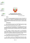 Vista preliminar de documento RDE N° 081-2025-DE