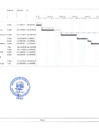 Vista preliminar de documento Cronograma