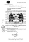 Vista preliminar de documento Resolución Alcaldía N° 243-2019-MPH