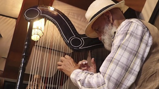 “Concierto de Arpa” en Museos Abiertos