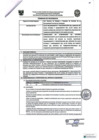 Vista preliminar de documento TDR Nº 1123