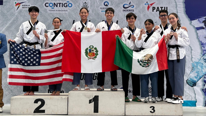 taekwondo