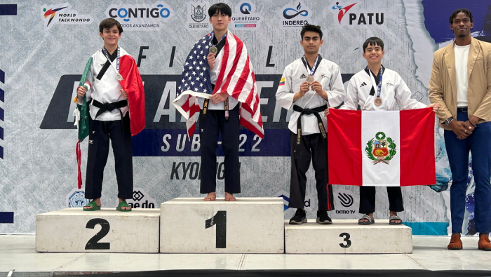 taekwondo