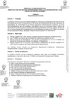 Vista preliminar de documento DIRECTIVA N° 0002-2025-EF/54.01