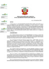 Vista preliminar de documento RDE N° 079-2025-DE