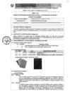 Vista preliminar de documento ET Nº1181