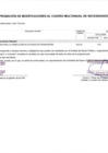 Vista preliminar de documento Anexo N° 06 Aprobación de Modificaciones al Cuadro Multianual de Necesidades N° 026 PEBLT 2025