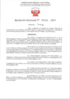 Vista preliminar de documento R.D. 501