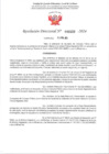 Vista preliminar de documento R.D. 509
