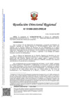 Vista preliminar de documento RDR-1086-2025-DRELM