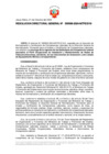 Vista preliminar de documento RDG 000096-2024-MTPE_3_19-REDES