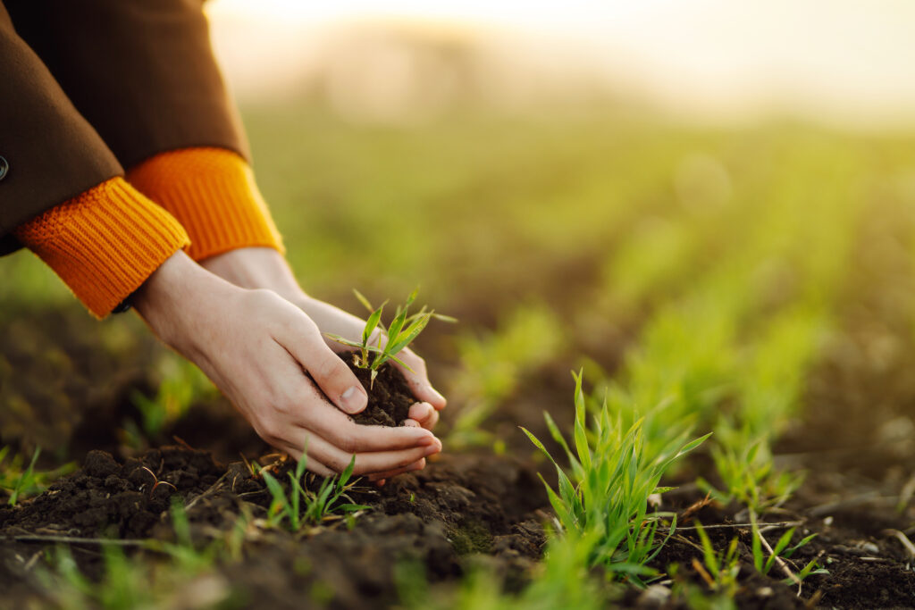 La HREC-AR es un instrumento orientado a implementar el enfoque de economía circular en la actividad económica agraria hacia el año 2030.