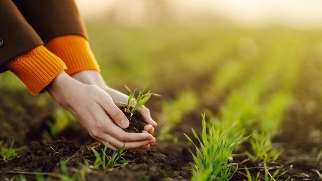 La HREC-AR es un instrumento orientado a implementar el enfoque de economía circular en la actividad económica agraria hacia el año 2030.