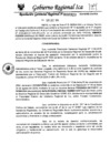 Vista preliminar de documento rgr-923-2024-gore-ica-grds