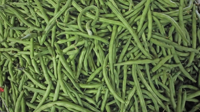 Hoy en los mercados mayoristas hay ofertas en vainita, cebolla, yuca, mango, sandía, mandarina y otros