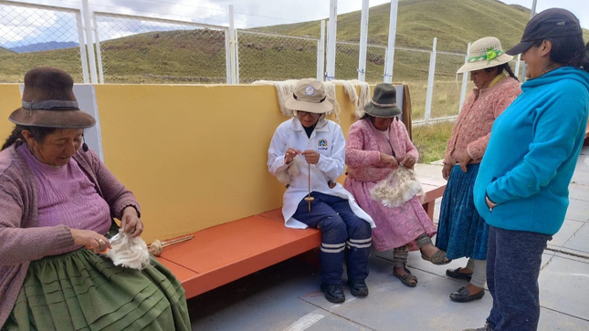 Taller Fibra Alpaca-Tambo La Quiña-Puno