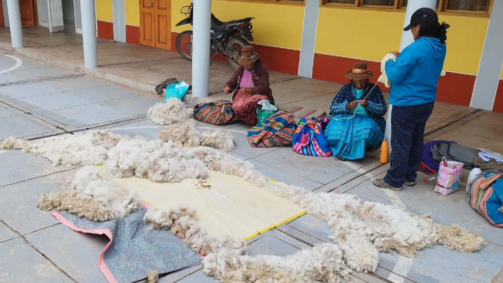 Taller Fibra Alpaca-Tambo La Quiña-Puno
