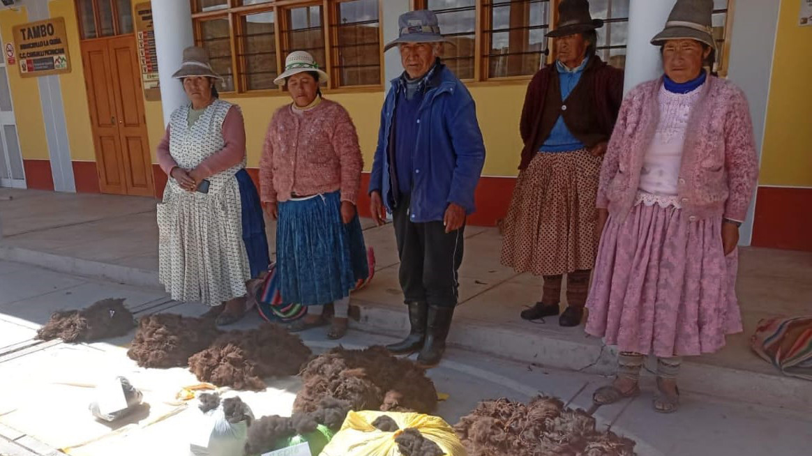 Taller Fibra Alpaca-Tambo La Quiña-Puno