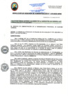 Vista preliminar de documento RGA132-2025