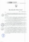 Vista preliminar de documento RD 079 DG 2025