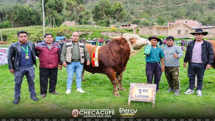Mejorando nuestras ferias ganaderas