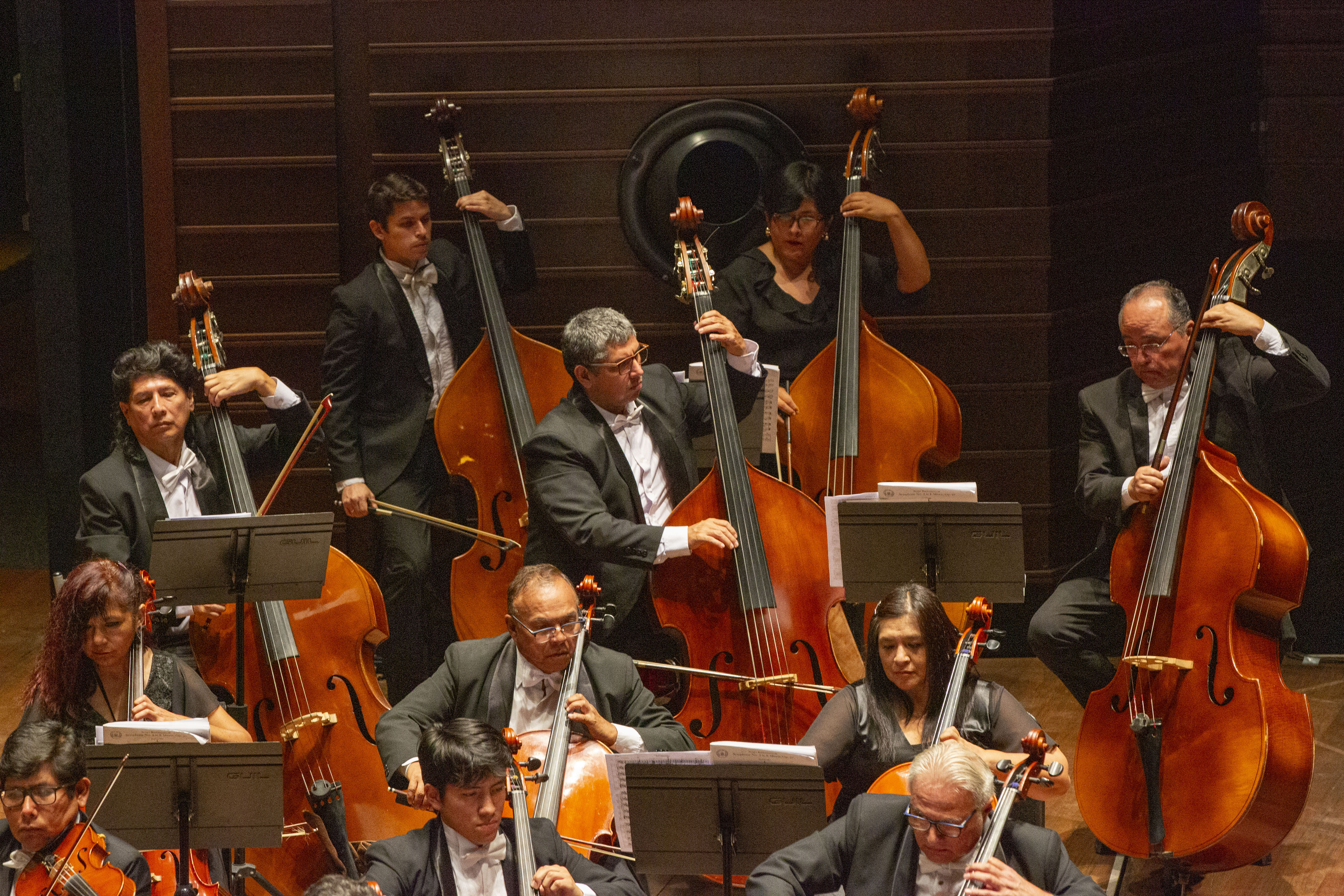 Concierto OSN