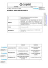 Vista preliminar de documento Informe N° 027-DAPU/2025