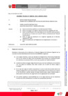 Vista preliminar de documento Informe Técnico N°000336-2025-SERVIR/GPGSC