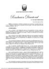 Vista preliminar de documento Resolución Directoral No. 133-2025-MINEM-DGH