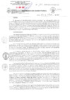 Vista preliminar de documento RD N° 195-2025-GRC/DIRESA/DG             