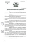 Vista preliminar de documento R.D.E Nº053-2025-HNAL-OEA