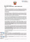 Vista preliminar de documento RESOLUCIÓN  DIRECTORAL-000101-2025-DG