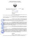 Vista preliminar de documento RESOLUCION DIRECTORAL N° 000894-2025-GR.LAMB/GRED-UGEL.CHIC