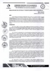Vista preliminar de documento RDS N 72 AJ
