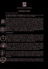 Vista preliminar de documento ORDENANZA N  513-MDCH - APRUEBA LOS ARANCELES DE COSTAS Y GASTOS DE PROCEDIMIENTOS DE COACTIVA