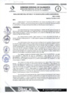 Vista preliminar de documento RDS N 141 AJ