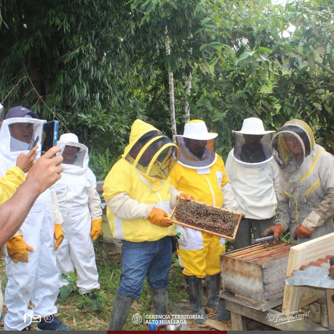 abeja