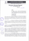 Vista preliminar de documento RDR 117-2025