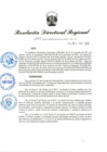 Vista preliminar de documento RDR-233-2025
